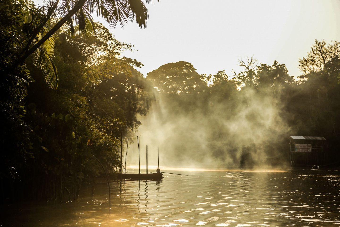 Amazônia Amazônia